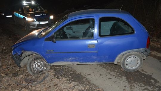 TEODORÓWKA: Pijany uderzył w drzewo