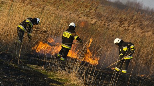 ? Tragedia w powiecie jasielskim! W pożarze traw zginął mężczyzna!