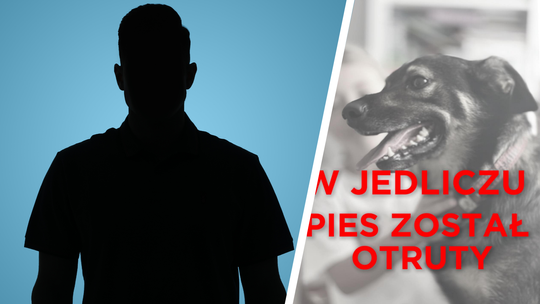 Tragiczna śmierć psa w Jedliczu. Właściciele ostrzegają sąsiadów