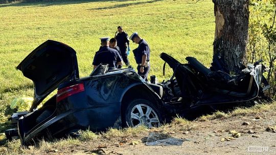 Tragiczny wypadek w Woli Wyżnej. Nie żyją dwie osoby [AKTUALIZACJA 3]