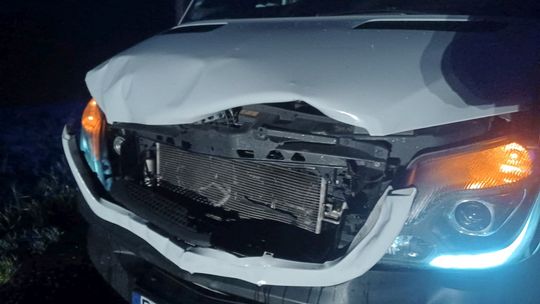 Trzciana. Zderzenie busa z sarną na DK19
