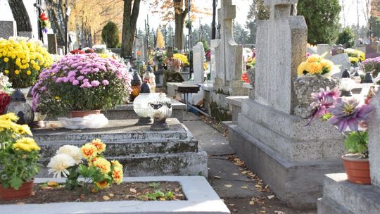 Umiera nas coraz więcej. W rok zniknęło miasto