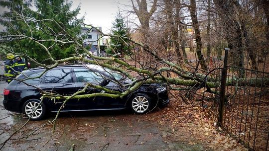 Usuwanie skutków wichury. W Krośnie i powiecie krośnieńskim 24 interwencje!