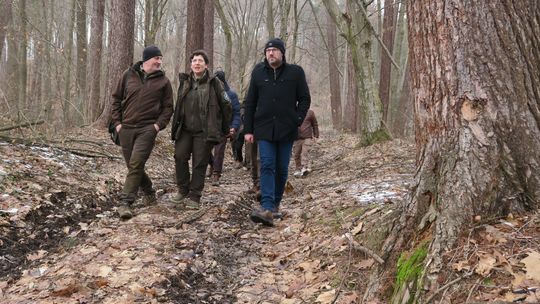 W sanockim skansenie może powstać sektor leśny