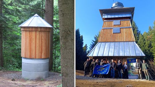 W uzdrowiskowych lasach powstała wieża i zimowisko dla nietoperzy W uzdrowiskowych lasach powstała wieża i zimowisko dla nietoperzy