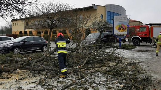 ? Wichura w regionie. Interweniują służby