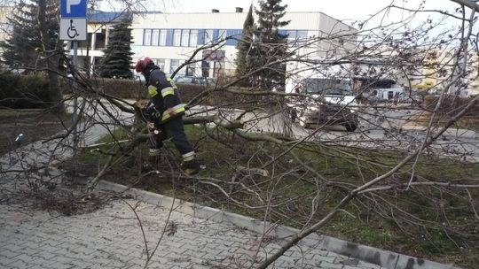 Wietrzny weekend pełen niegroźnych zdarzeń