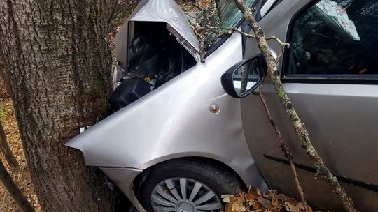 Wjechała w drzewo na granicy Bzianki i Haczowa