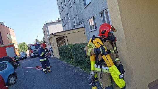 Włączył piekarnik i stopiły się uchwyty patelni. Interweniowali strażacy