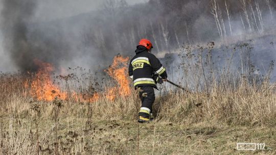 Podkarpacie. W pożarze traw zginął 84-latek