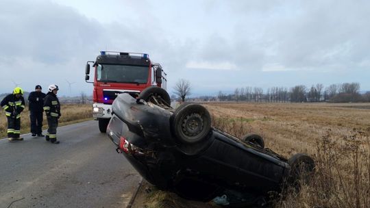WRÓBLIK SZLACHECKI: Dachowanie na prostej drodze