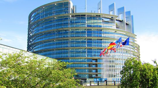 Wybory do Parlamentu Europejskiego. Lista kandydatów Bezpartyjnych Samorządowców