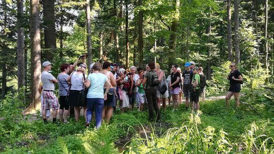 Wycieczki z leśnikami po iwonickich lasach cieszą się coraz większą popularnością