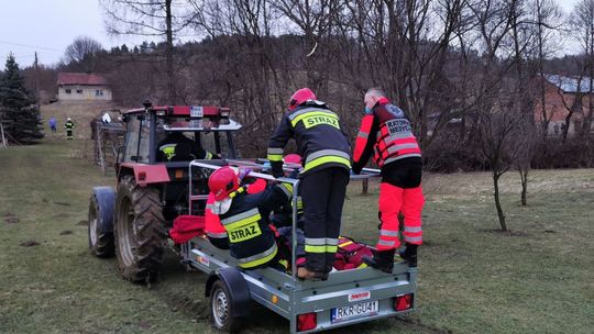 Wypadek w lesie. Poważnie ranny mężczyzna może mówić o dużym szczęściu