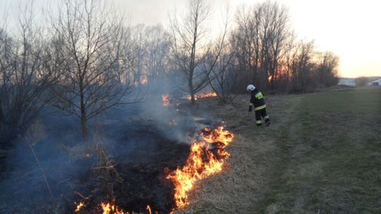 Wypalanie traw nadal plagą w naszym powiecie