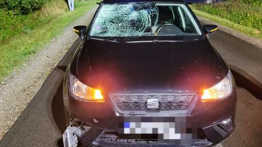 Zaczął się tragiczny sezon. Policja apeluje: odblaski mogą uratować życie