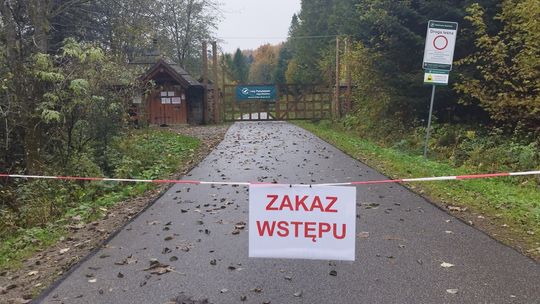 Zagroda pokazowa żubrów w Mucznem może być zamknięta nawet 1,5 roku
