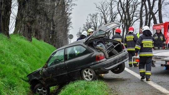 Zboiska: Niedoświadczony kierowca stracił panowanie nad pojazdem