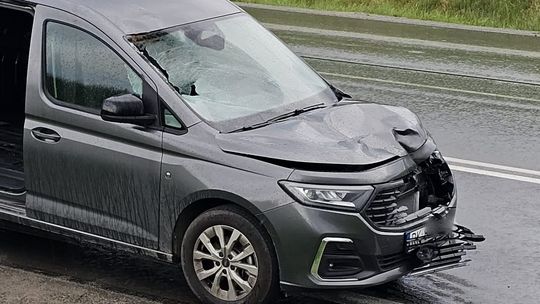 Zderzenie z sarną na DW864 w Rogach