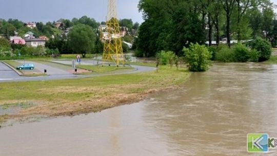 Zmiana nazwy odcinka drogi krajowej DK9 na DK19