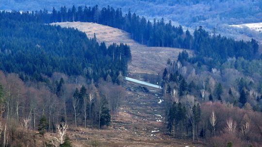 Znikają drzewa na trasie przyszłej S19 Dukla-Barwinek [ZOBACZ ZDJĘCIA]