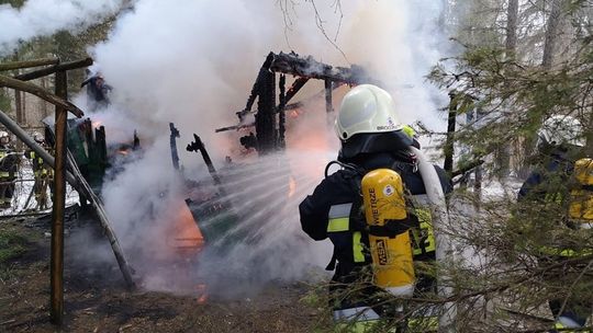 ZYNDRANOWA: Pożar domku letniskowego i drzew