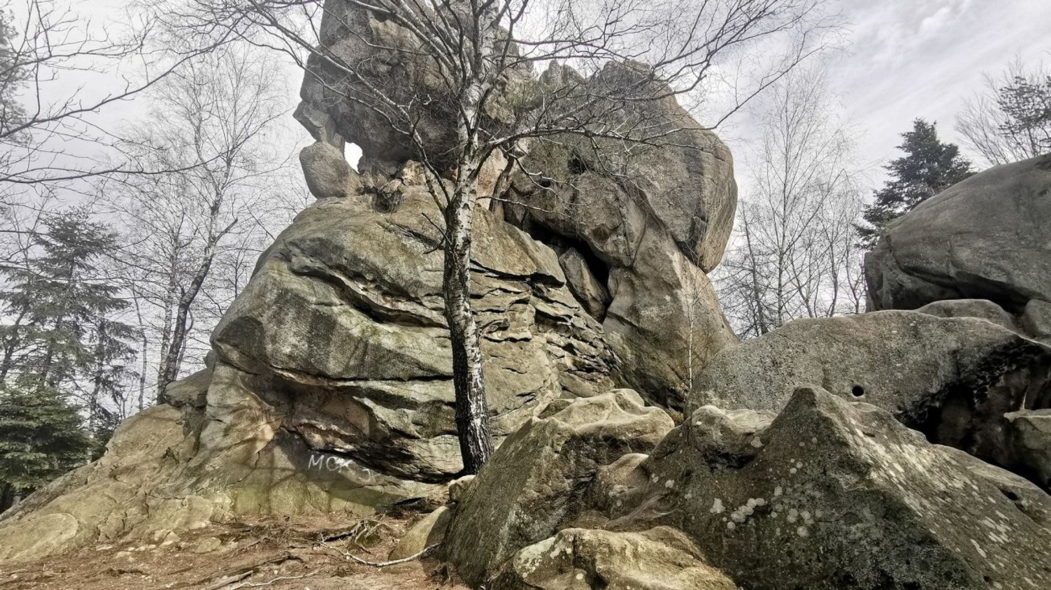Gmina Korczyna zaprasza na spacer po Rezerwacie Prządki