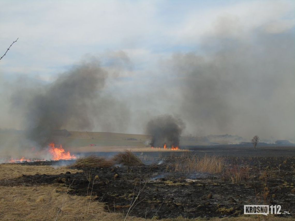 21.03.2015 - pożar traw w gminie Chorkówka - ZDJĘCIA