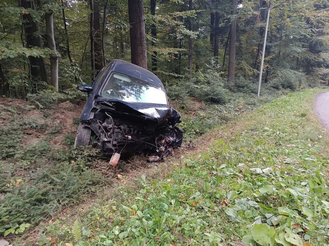 23-latek wjechał w drzewo. W ciężkim stanie trafił do szpitala. Policja szuka świadków