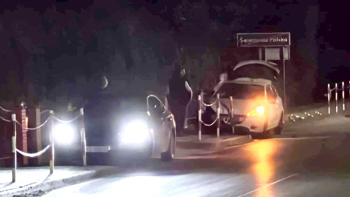 32-latka skosiła słupki przy drodze. Nie chciała wjechać w psa