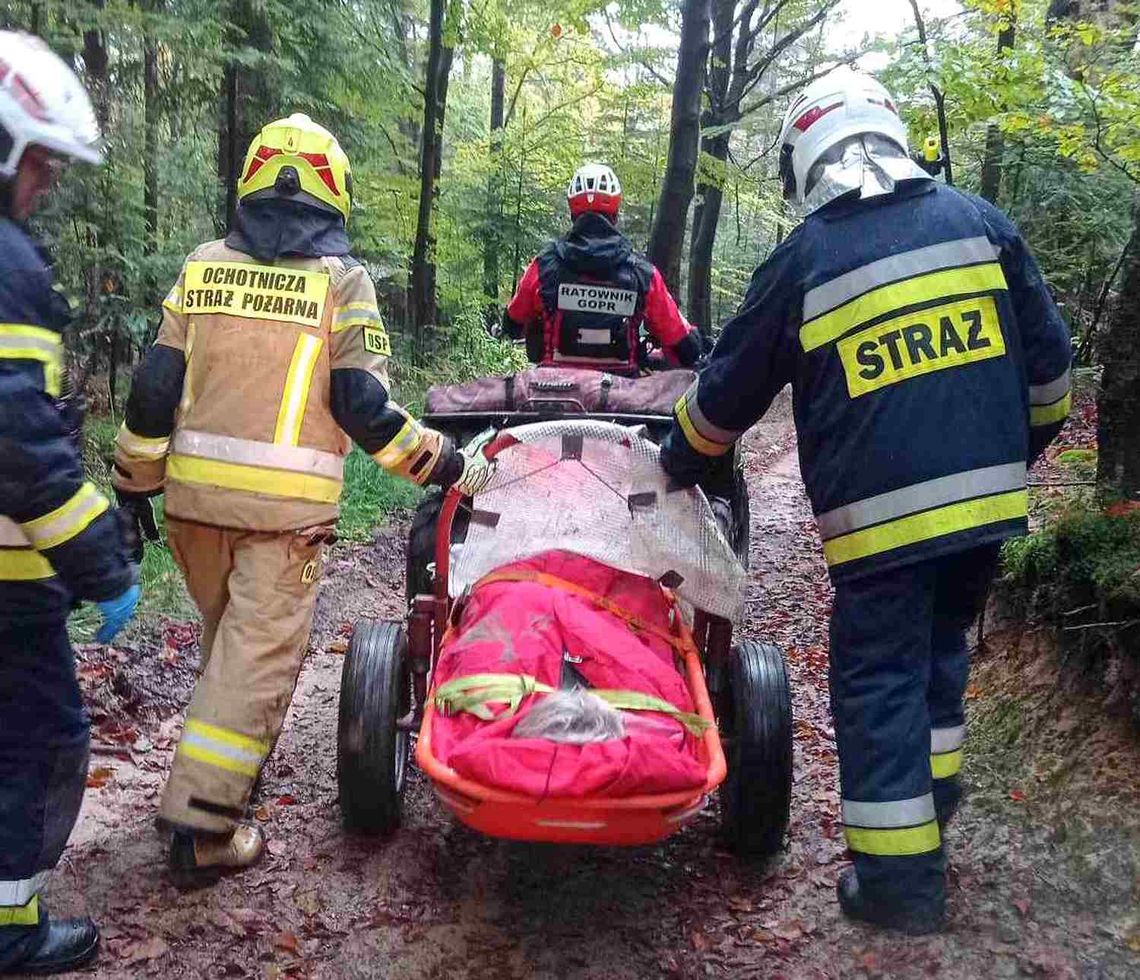 Akcja służb w lesie. Kobieta doznała poważnego urazu, potrzebna była pomoc ratowników