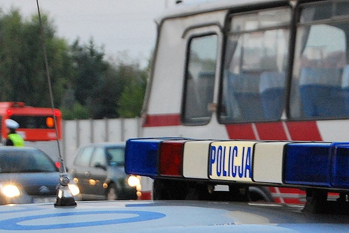 Akcja "Truck&Bus": Mandaty dla kierowców busów i ciężarówek