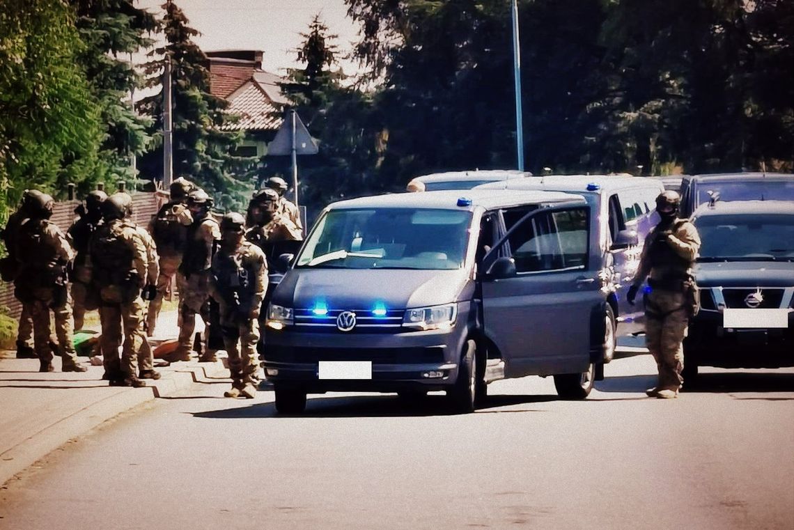 Antynarkotykowa akcja policjantów. Zatrzymano trzech mężczyzn, zlikwidowano uprawę konopi indyjskich