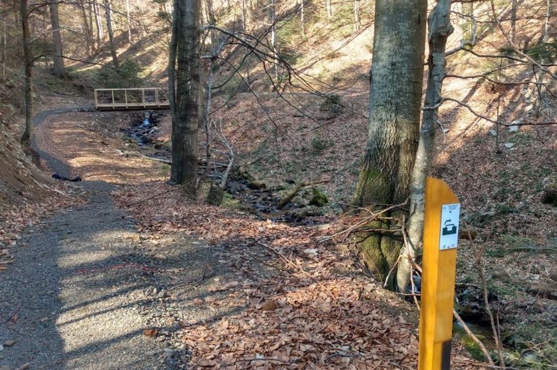 Atrakcja dla miłośników turystyki rowerowej w Bieszczadach - Singletrack pod Honem