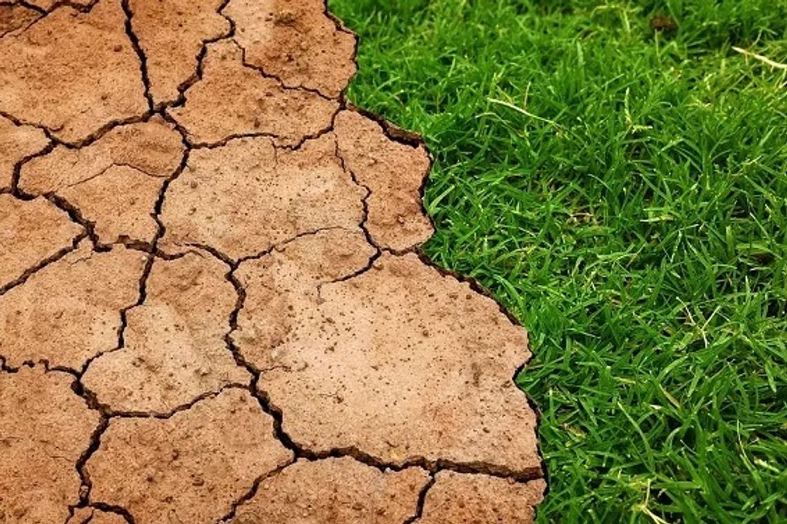 Bądźmy gotowi na zmiany. Krosno przygotowuje plan adaptacji do zmian klimatu