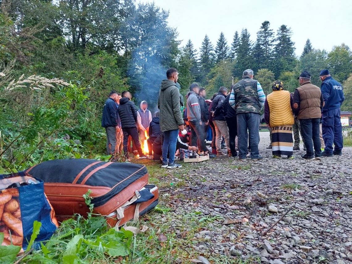 Beskid Niski. Kolejna kontrola obozowisk zagranicznych grzybiarzy. Kilku ukarano mandatami