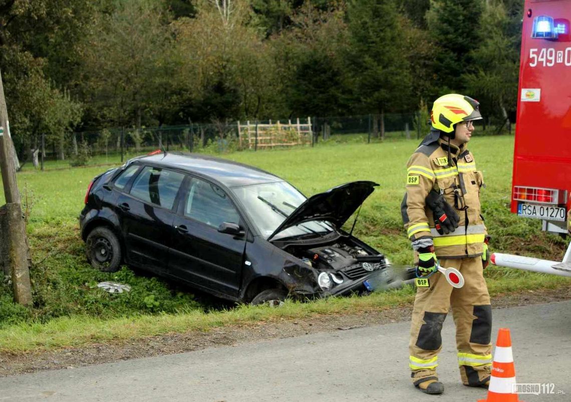 34-latka nie chciała wjechać w psa. Jej auto dachowało