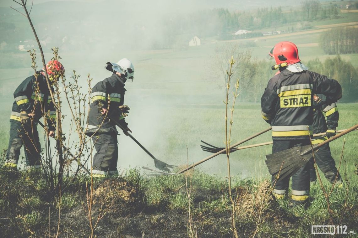 Bezmyślne wypalanie traw. W Rogach z pożarem walczyło kilka zastępów straży pożarnej