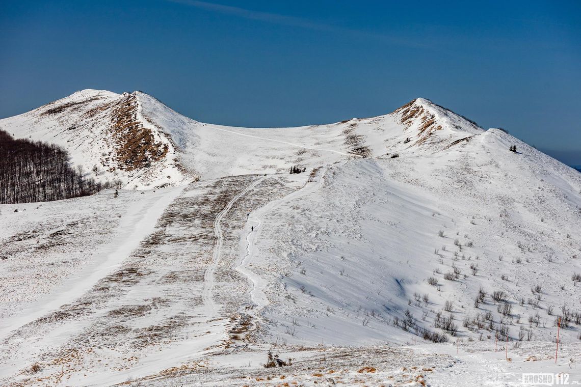Bieszczady wczesną wiosną. Budząca się przyroda i magia szlaków [ZDJĘCIA]
