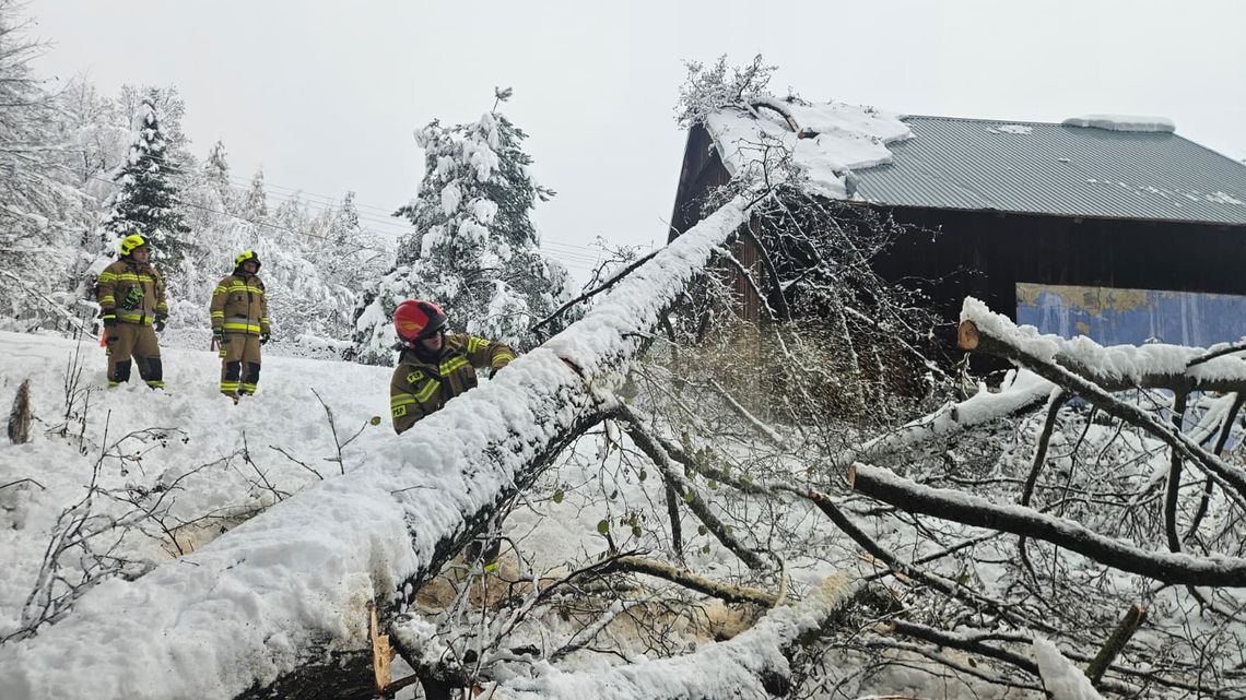 Blisko 3 tysiące interwencji podkarpackich strażaków [ZDJĘCIA]