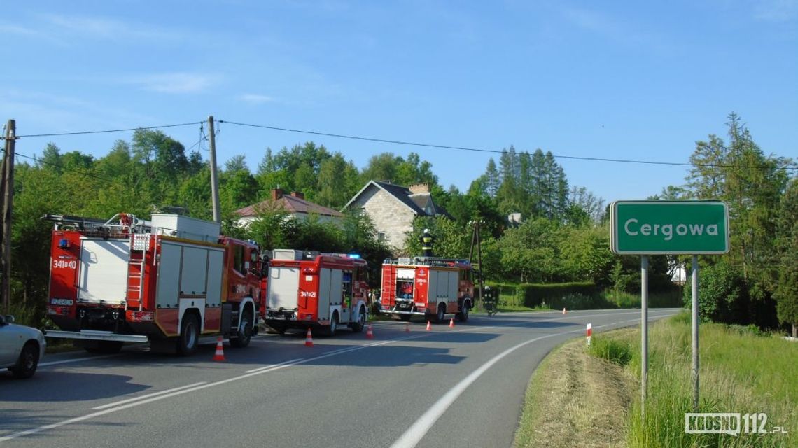 Cergowa: Opel wjechał do rowu