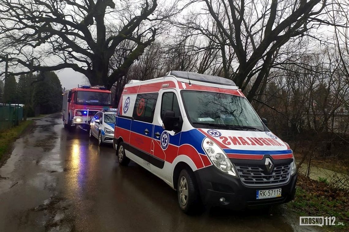 CERGOWA: Psy nie chciały dopuścić ratowników do 55-latki. Kobieta nie żyje