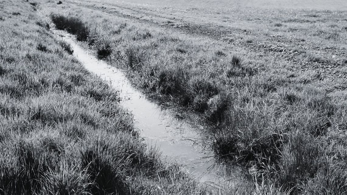 Ciało mężczyzny znalezione w przydrożnym rowie. Trwa ustalanie okoliczności