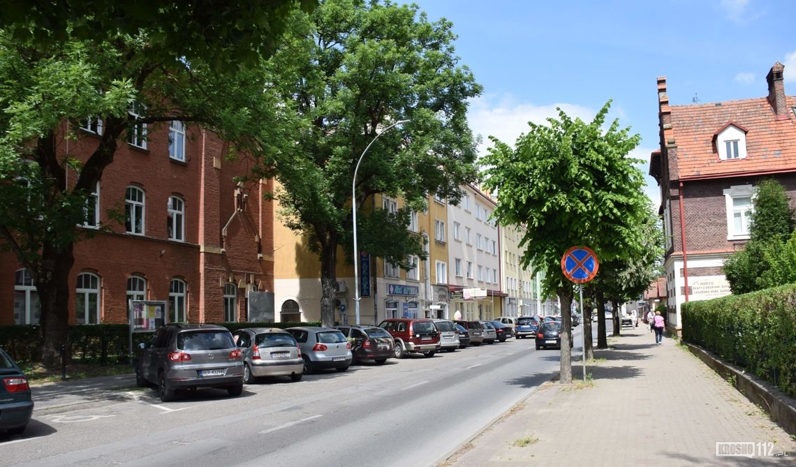 Czy drzewa przy ul. Staszica w Krośnie muszą być wycięte?