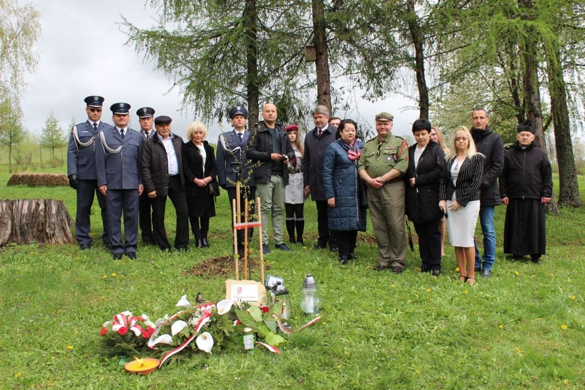 "DĘBY KATYŃSKIE" posadzone przez SŁUŻBĘ WIĘZIENNĄ  i GMINĘ JAŚLISKA