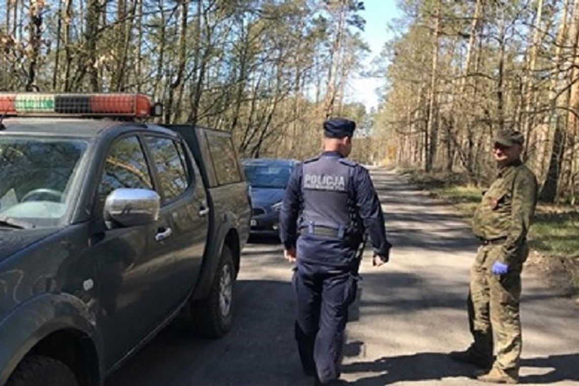 Do lasu wrócili złodzieje. Kradną drewno opałowe, bo nie ma węgla