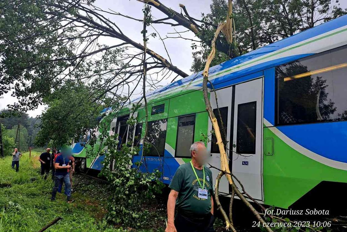 Drzewo spadło na pociąg jadący na Słowację