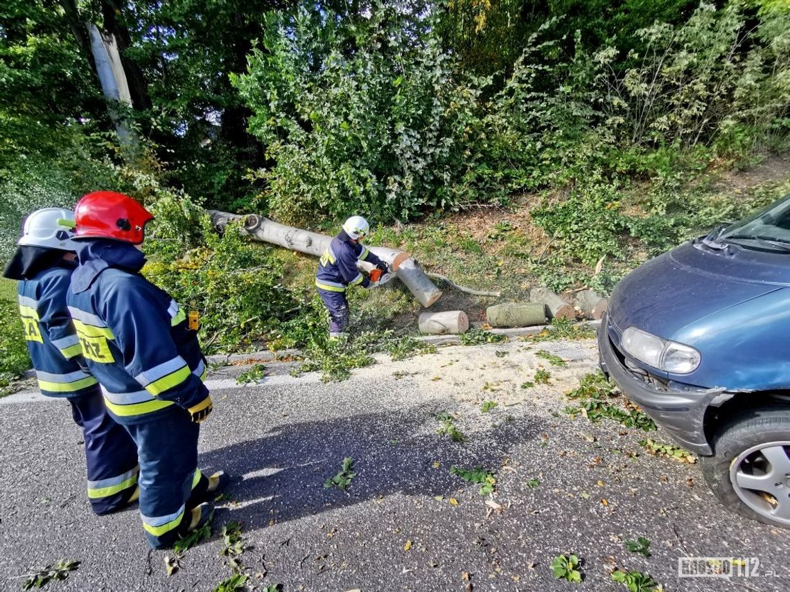 Drzewo spadło tuż przed jadącym samochodem. Małżeństwo miało wiele szczęścia