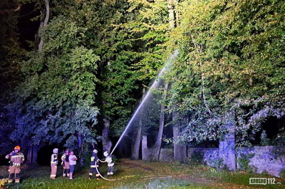 Dukla. Pożar parkowego drzewa od uderzenia piorunem