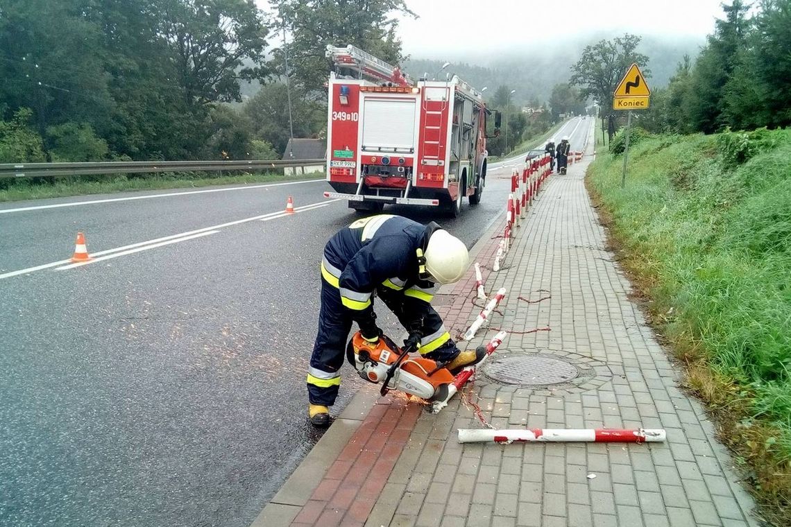 DUKLA: Stracił panowanie nad pojazdem. Wjechał w słupki
